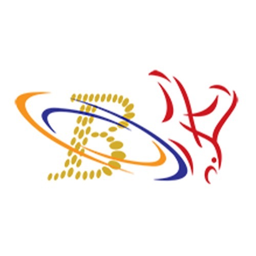 Nabeel-travel-logo